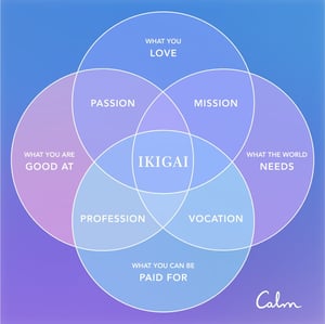 IKIGAI diagram from Calm.com