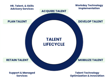 Talent lifecycle graphic sept 2024-1