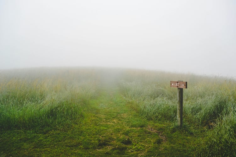 Is Your Workday Investment Working Capital?