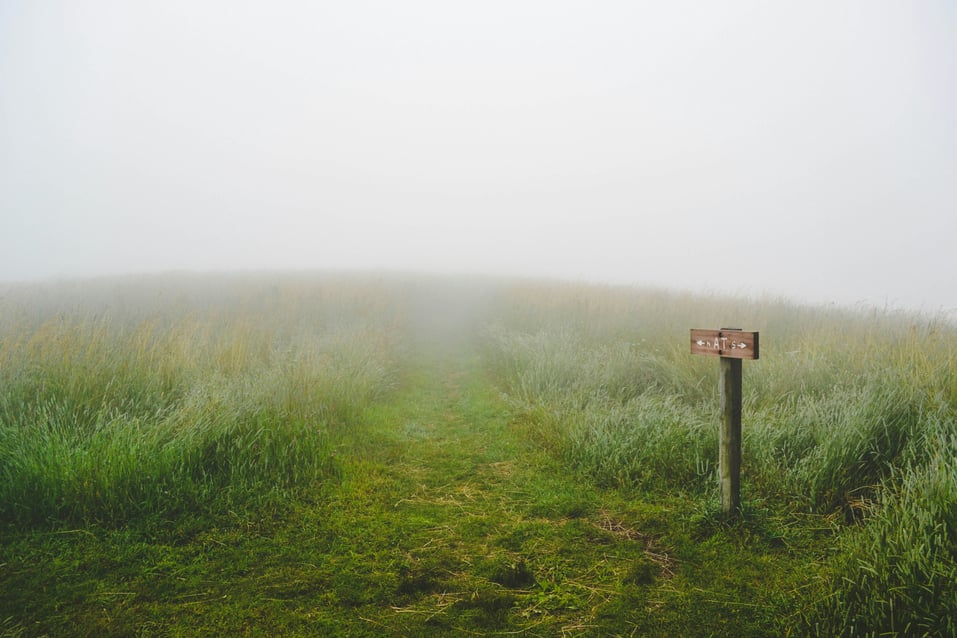 evelyn-mostrom-gh1UZkWzw9Q-unsplash